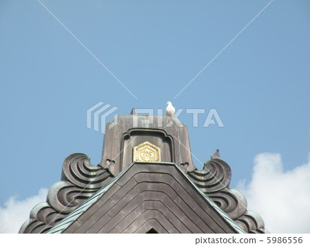 The roof of the shrine and the dove The roof of the shrine and the dove 5986556