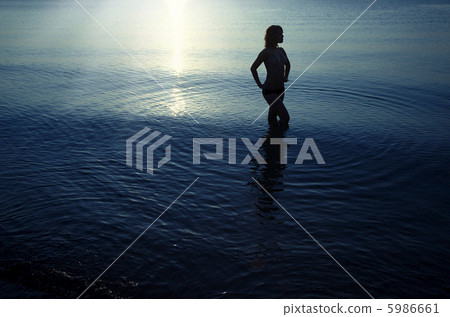 Enigma in the sea 5986661