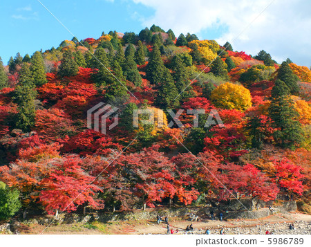 Late autumn Kaori River 5986789