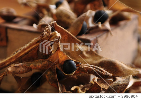 Tanba's black bean Tanba's black bean 5986904