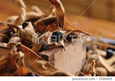 Tanba's black bean 5986905