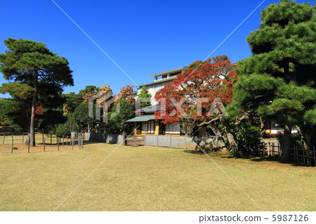 楓樹的花園 楓樹的花園 5987126