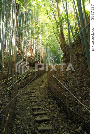 竹林和樓梯 竹林和樓梯 5987127