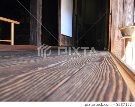 Corridor of tree 5987152