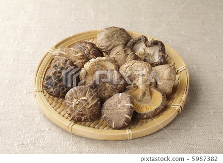 白粉病 白粉病 5987382