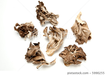 Daimake mushroom 5990255