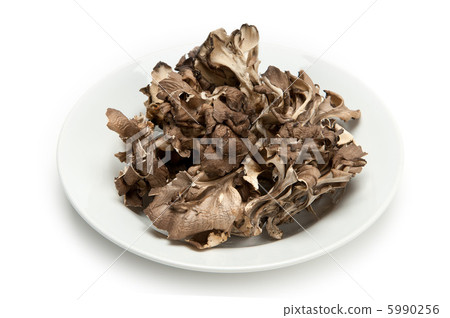 Daimake mushroom 5990256