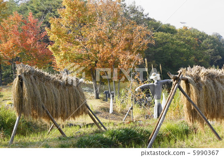 Satoyama景觀 5990367