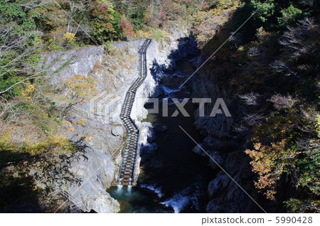 Fish path of white circle dam 5990428