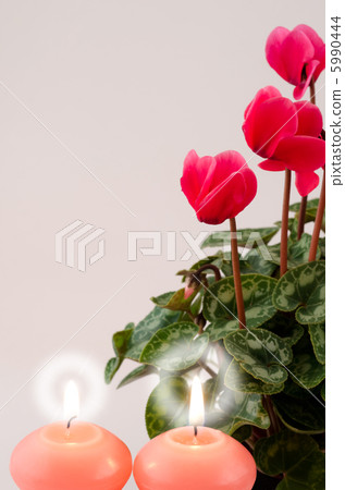 Red cyclamen flowers and candles 5990444