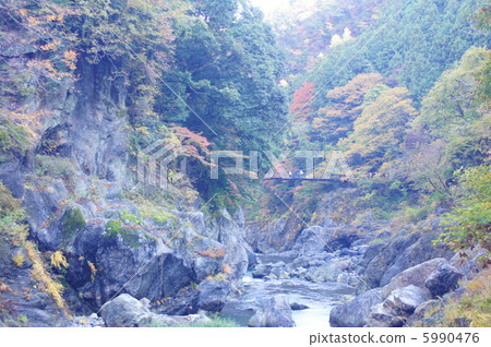 Suspension bridge in the Hatono Nest Valley 5990476