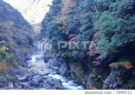 Hatonosu Valley 5990511