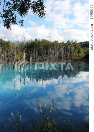 秋天的白金藍塘 5990632