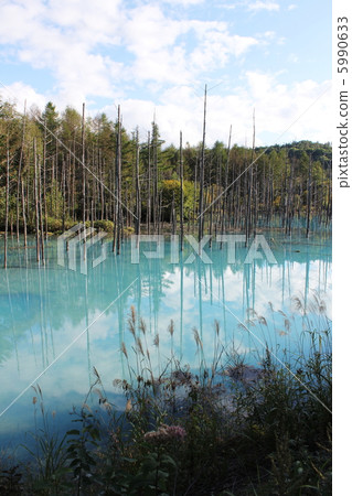 秋天的白金藍塘 5990633