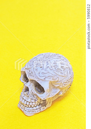 archeology, skeletal, global 5990812