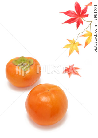 柿子和楓樹 5991071