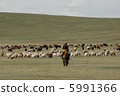 grazing 5991366