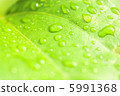 Water droplets 5991368