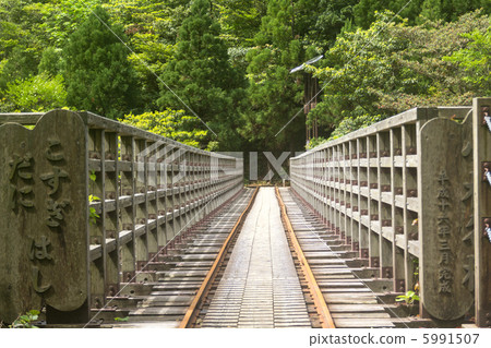 屋久島電車道Kosugi Tanihashi 5991507