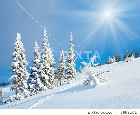 Snowy landscape Snowy landscape 5992101