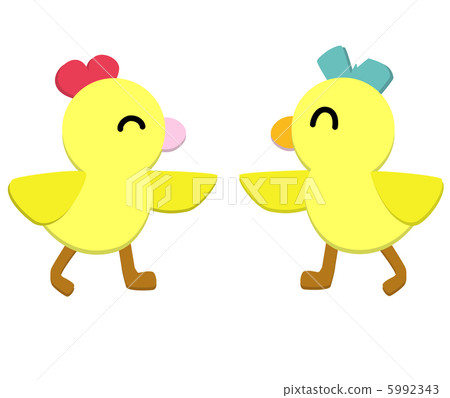 小雞 小雞 5992343
