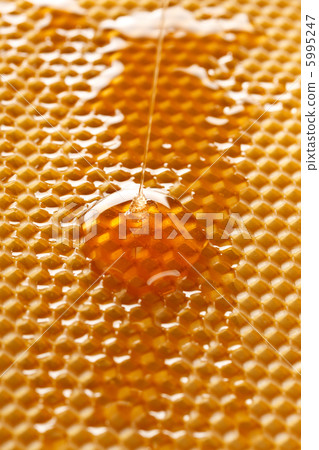 fresh honey in comb fresh honey in comb 5995247