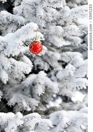 Christmas ball on the fir Christmas ball on the fir 5995283