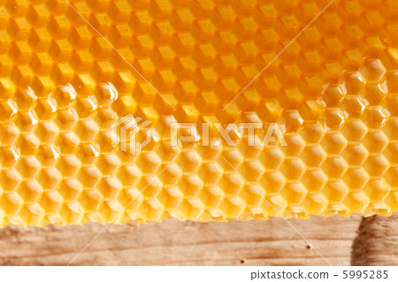 fresh honey in comb fresh honey in comb 5995285