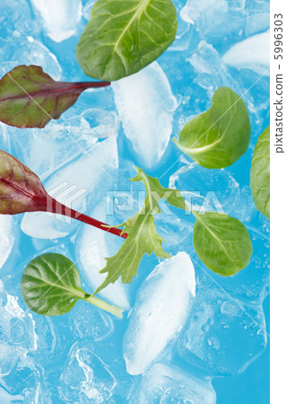 ice and leaves ice and leaves 5996303