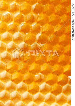 fresh honey in comb 5996572