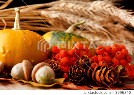 Harvested pumpkins with fall leaves Harvested pumpkins with fall leaves 5996840