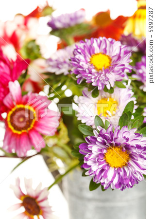 colorful summer flowers 5997287