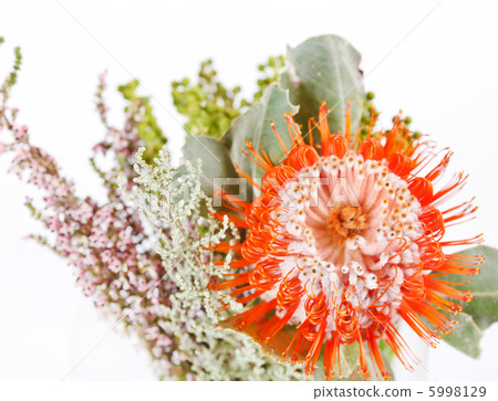nice flowers nice flowers 5998129