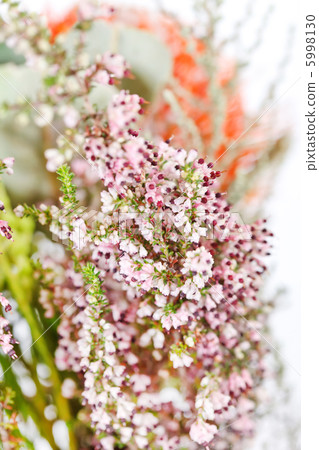 heather flowers heather flowers 5998130