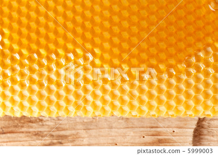 fresh honey in comb fresh honey in comb 5999003