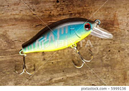 fishing lure fishing lure 5999136