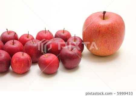 父母和孩子的蘋果 父母和孩子的蘋果 5999433