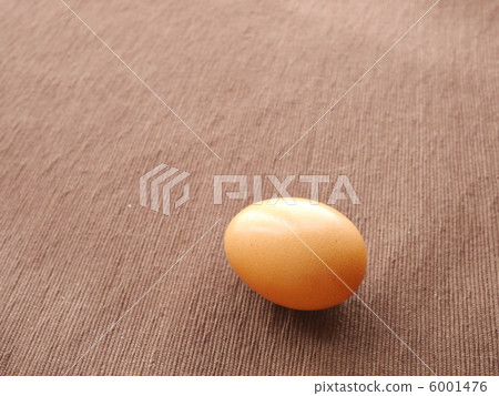 An egg 6001476