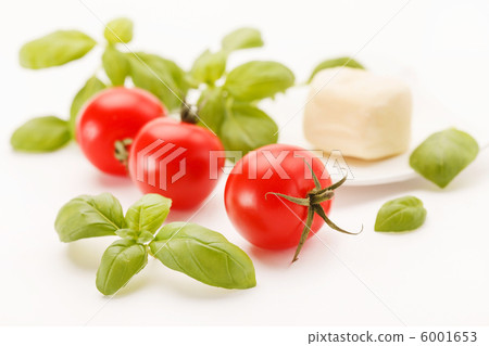 tomatoes and basil 6001653