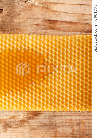 fresh honey in comb fresh honey in comb 6001779
