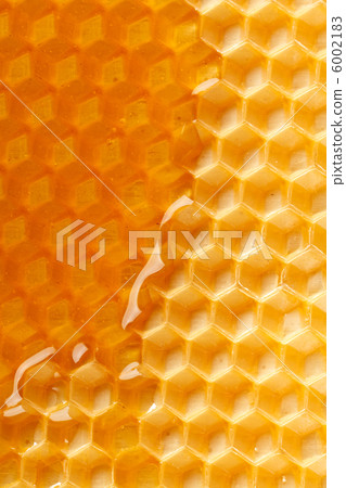 fresh honey in comb 6002183