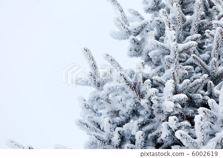 Winter park in snow Winter park in snow 6002619