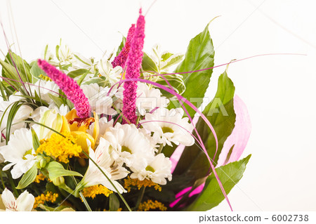 nice flowers nice flowers 6002738