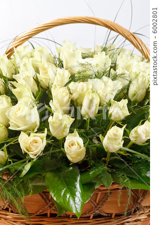 roses in the basket roses in the basket 6002801