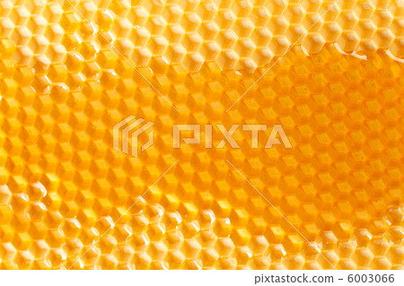 fresh honey in comb fresh honey in comb 6003066