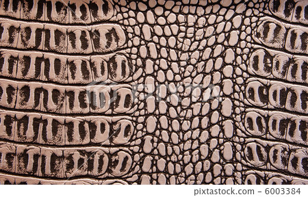 leather texture to background 6003384