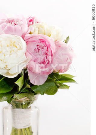 Rich bunch of peonies 6003936