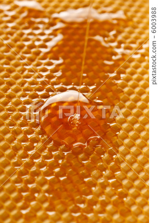 fresh honey in comb fresh honey in comb 6003988