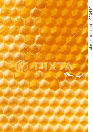 fresh honey in comb fresh honey in comb 6004164