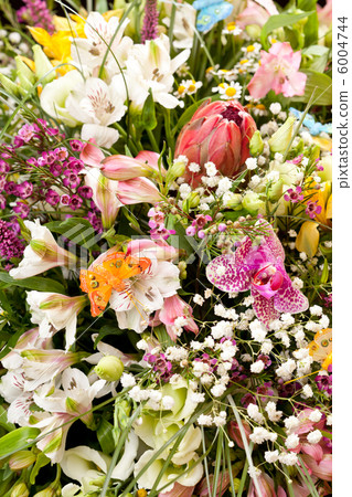 bouquet of colorful flowers bouquet of colorful flowers 6004744